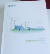 国家电网公司发布《促进新能源发展白皮书》